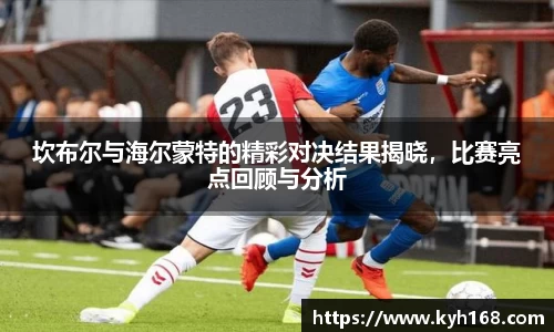 8868体育官网